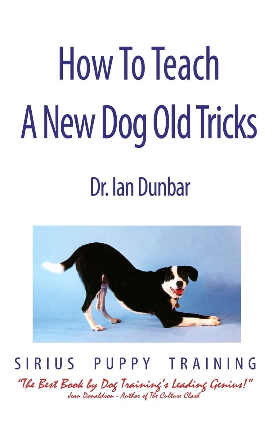 Dog new tricks
